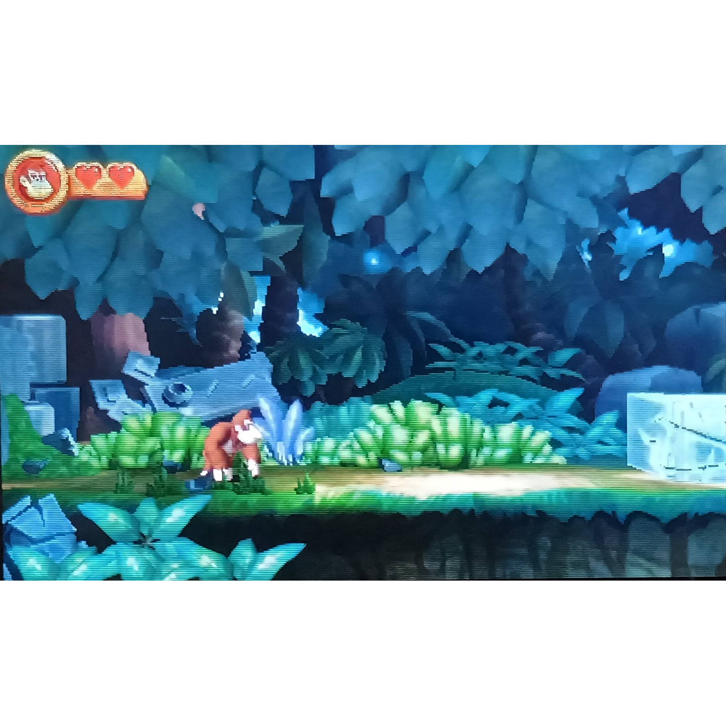 Donkey Kong Returns 2ds 3ds 2