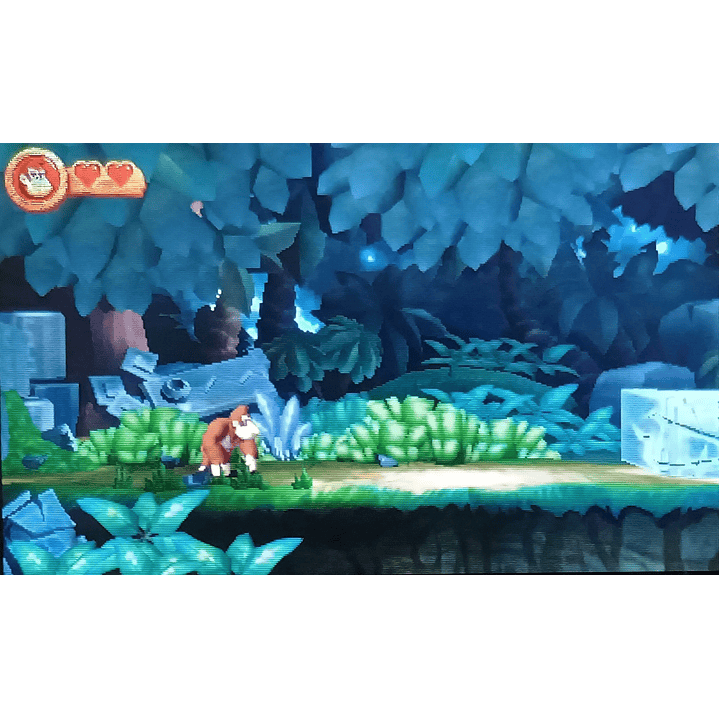 Donkey Kong Returns 2ds 3ds 2