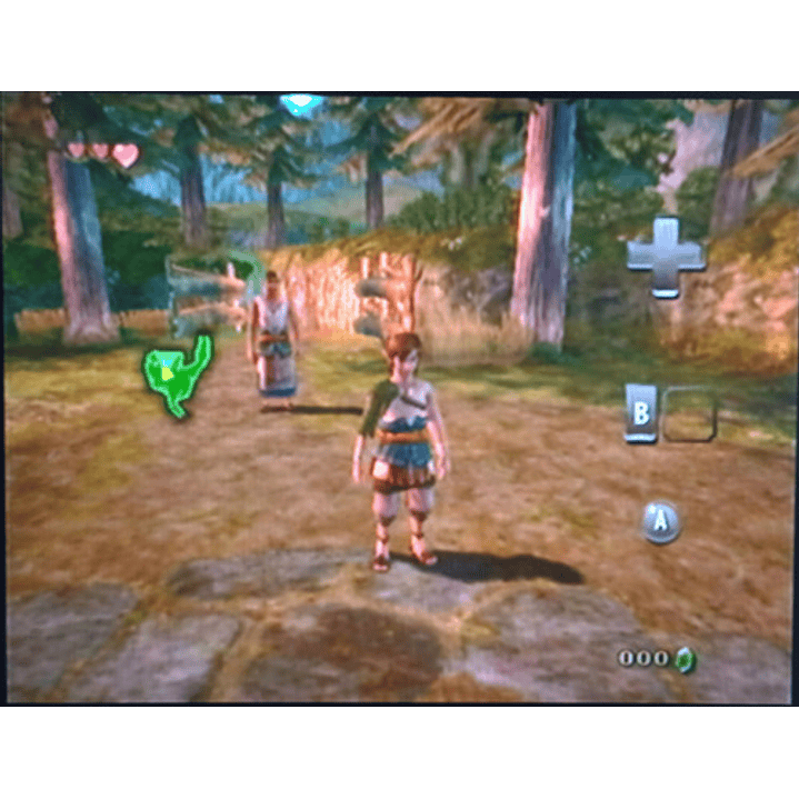 The Legend Of Zelda Twilight Princess Wii 5