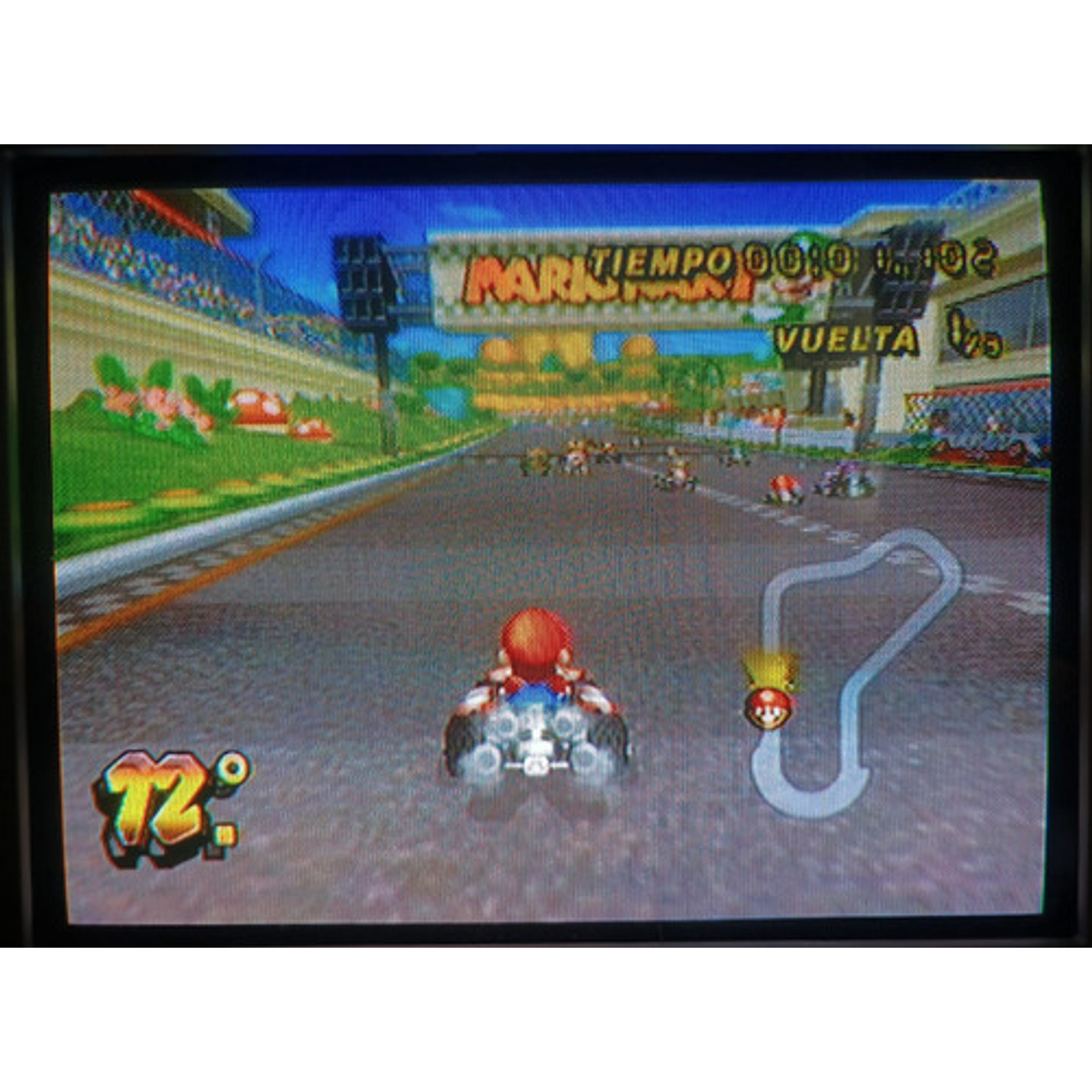 Mario Kart Wii 5