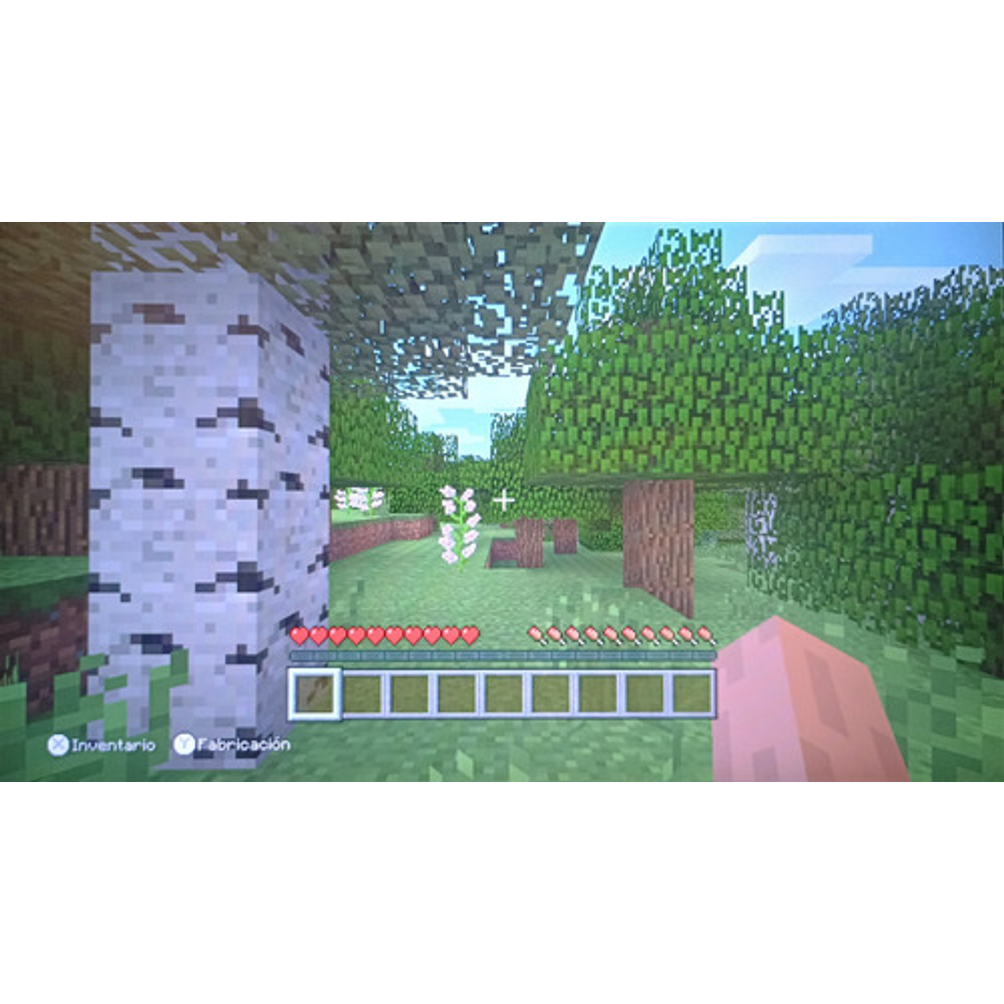 Minecraft Wii U 5