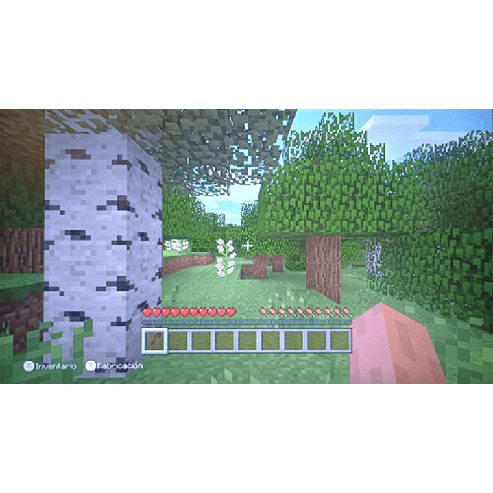Minecraft Wii U 5