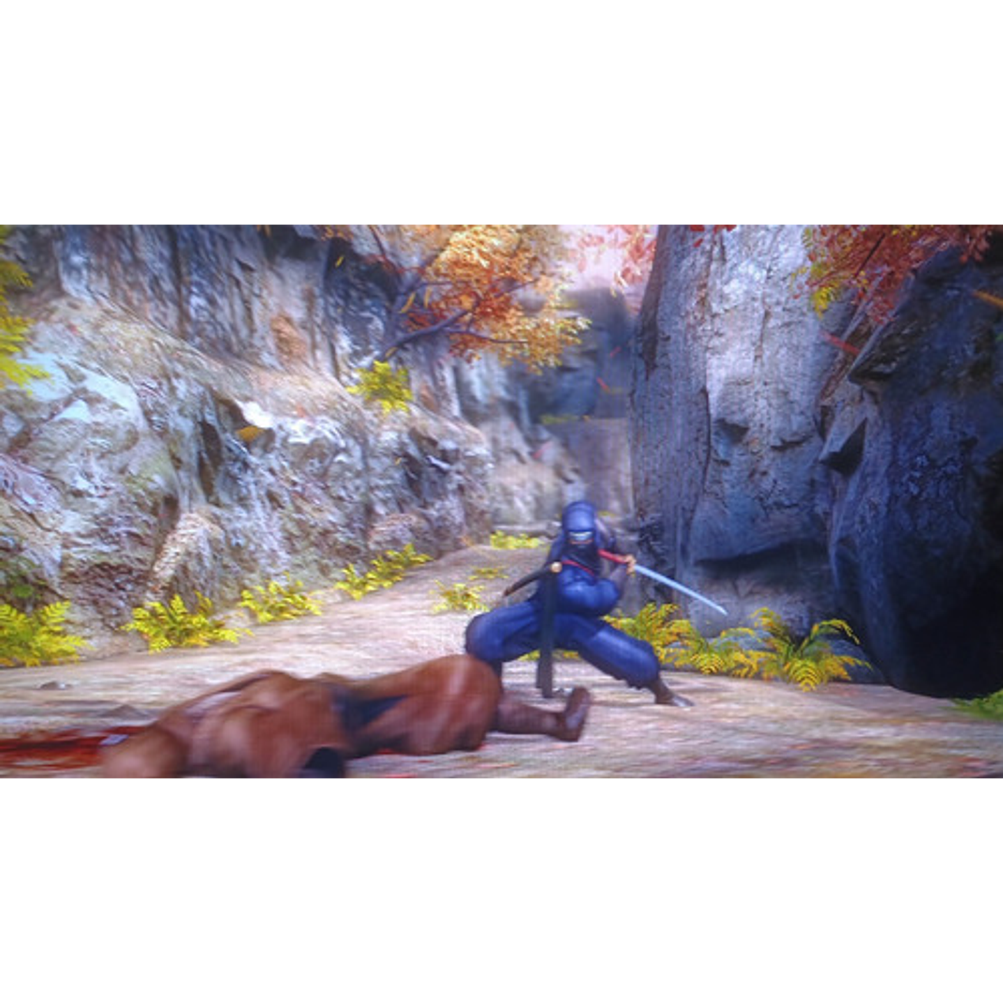 Ninja Gaiden Sigma Ps3 6