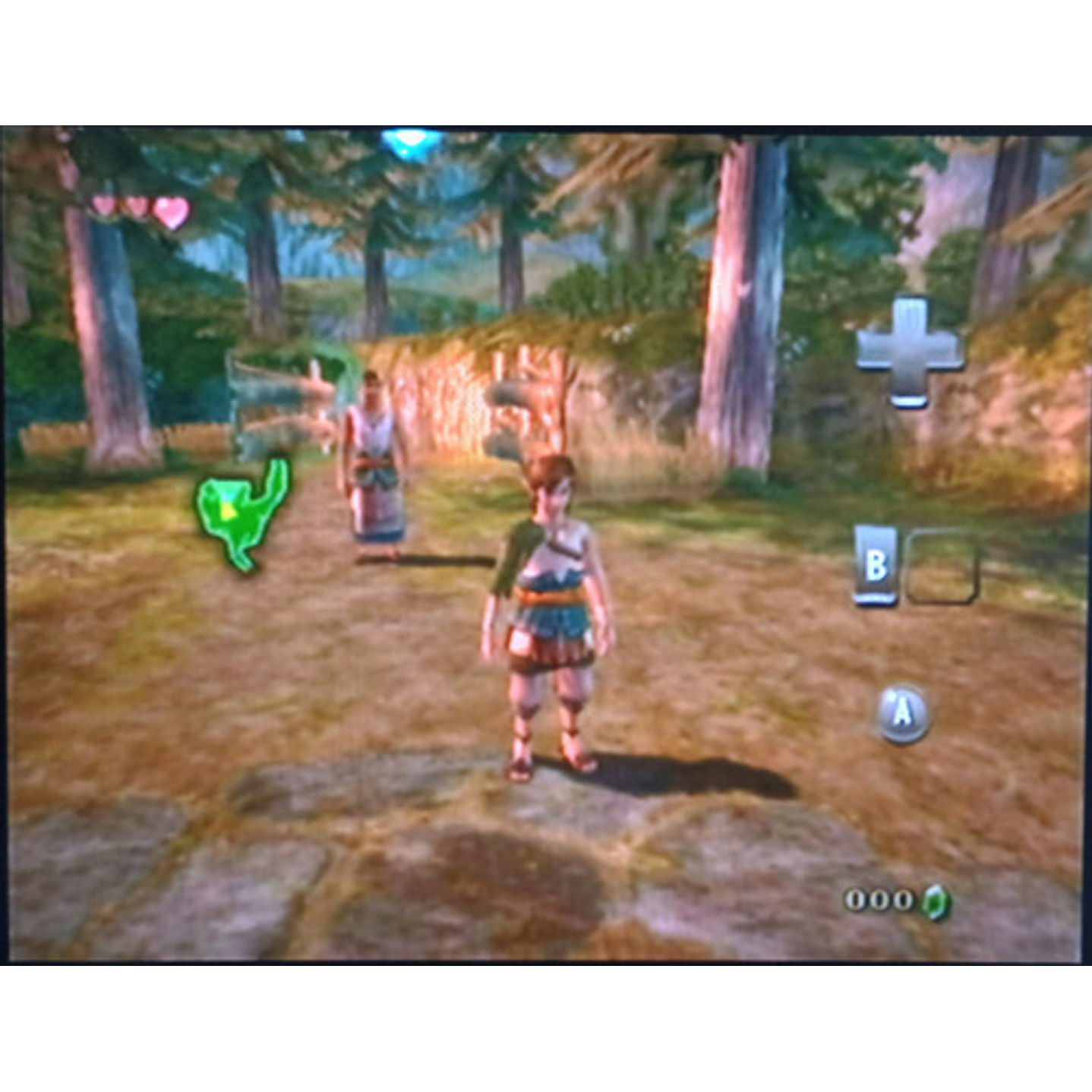 The Legend Of Zelda Twilight Princess Wii 5