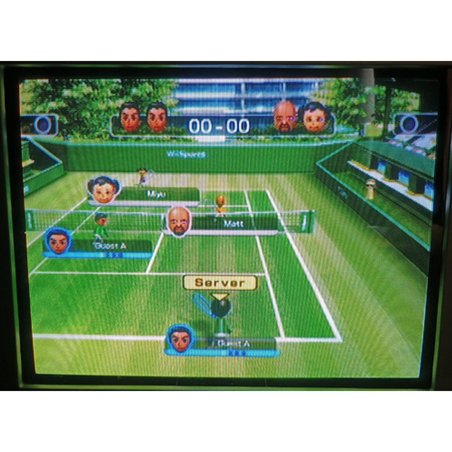 Wii Sport Resort 6