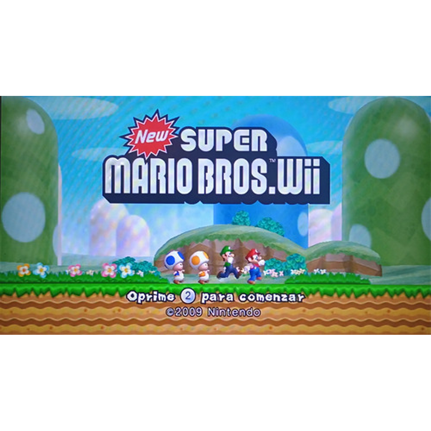 New Super Mario Bross Wii 4