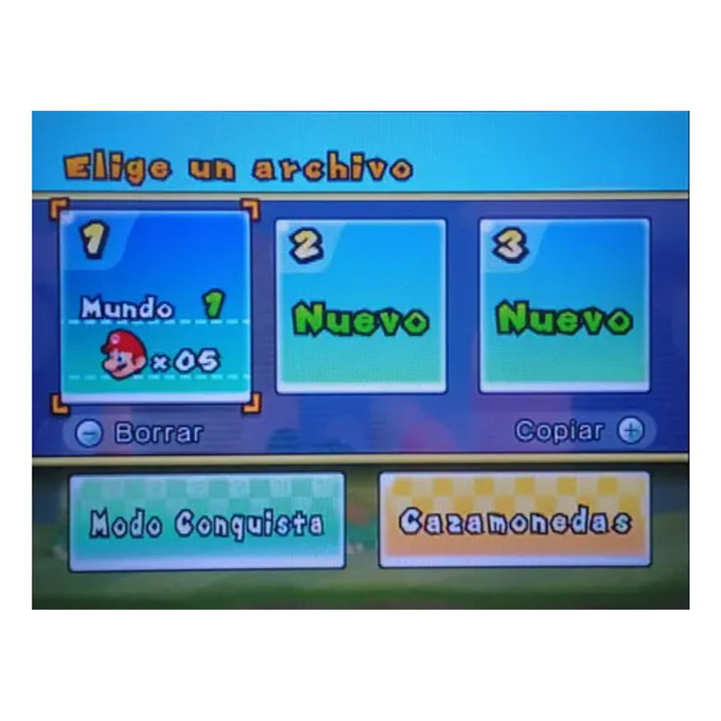 New Super Mario Bross Wii 8