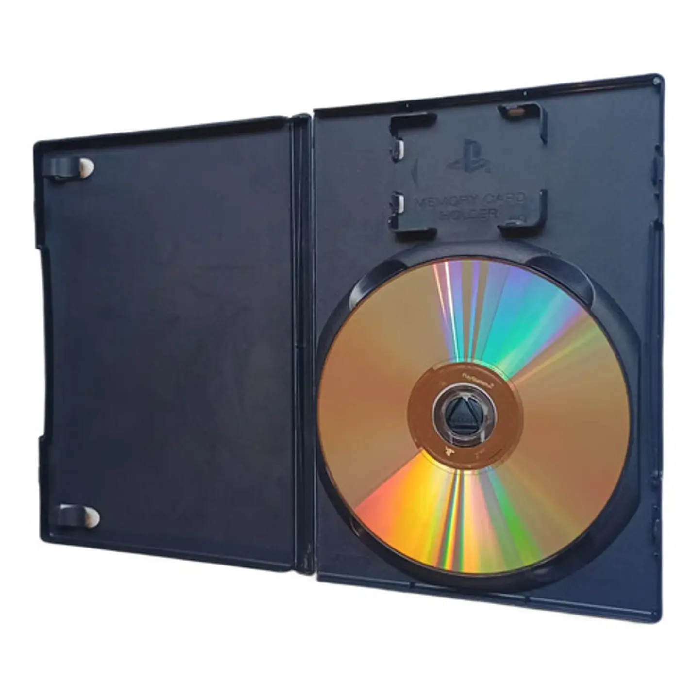 Spyro Enter The Dragon Fly Ps2 3