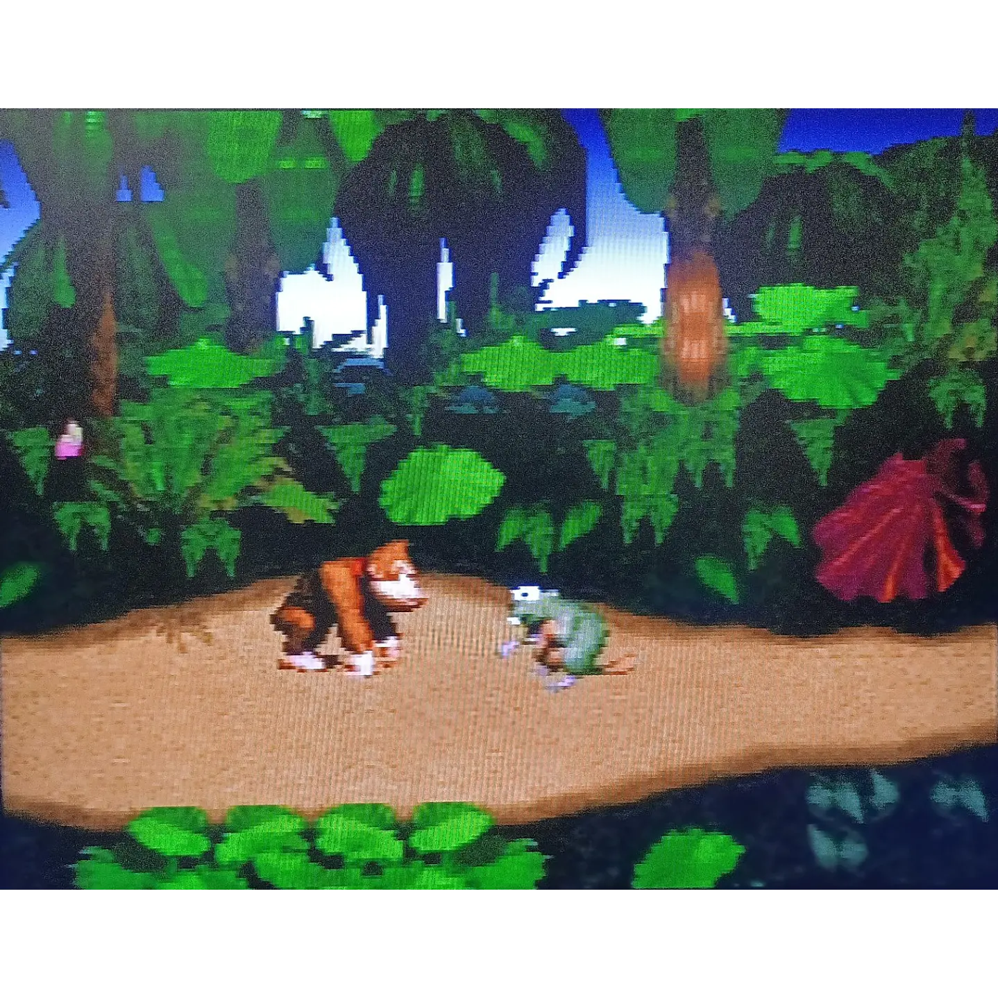 Donkey Kong Country Nintendo Snes   4