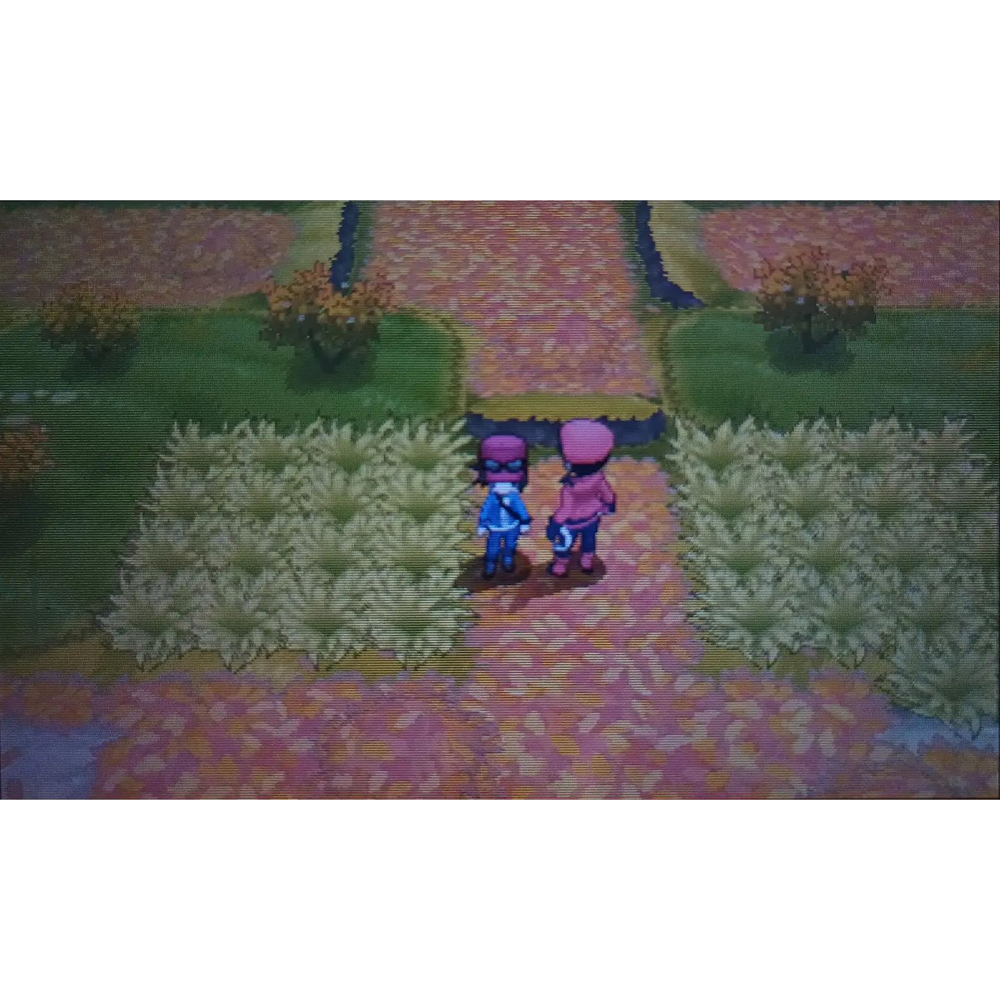 Pokemon Y 3ds 2ds 5