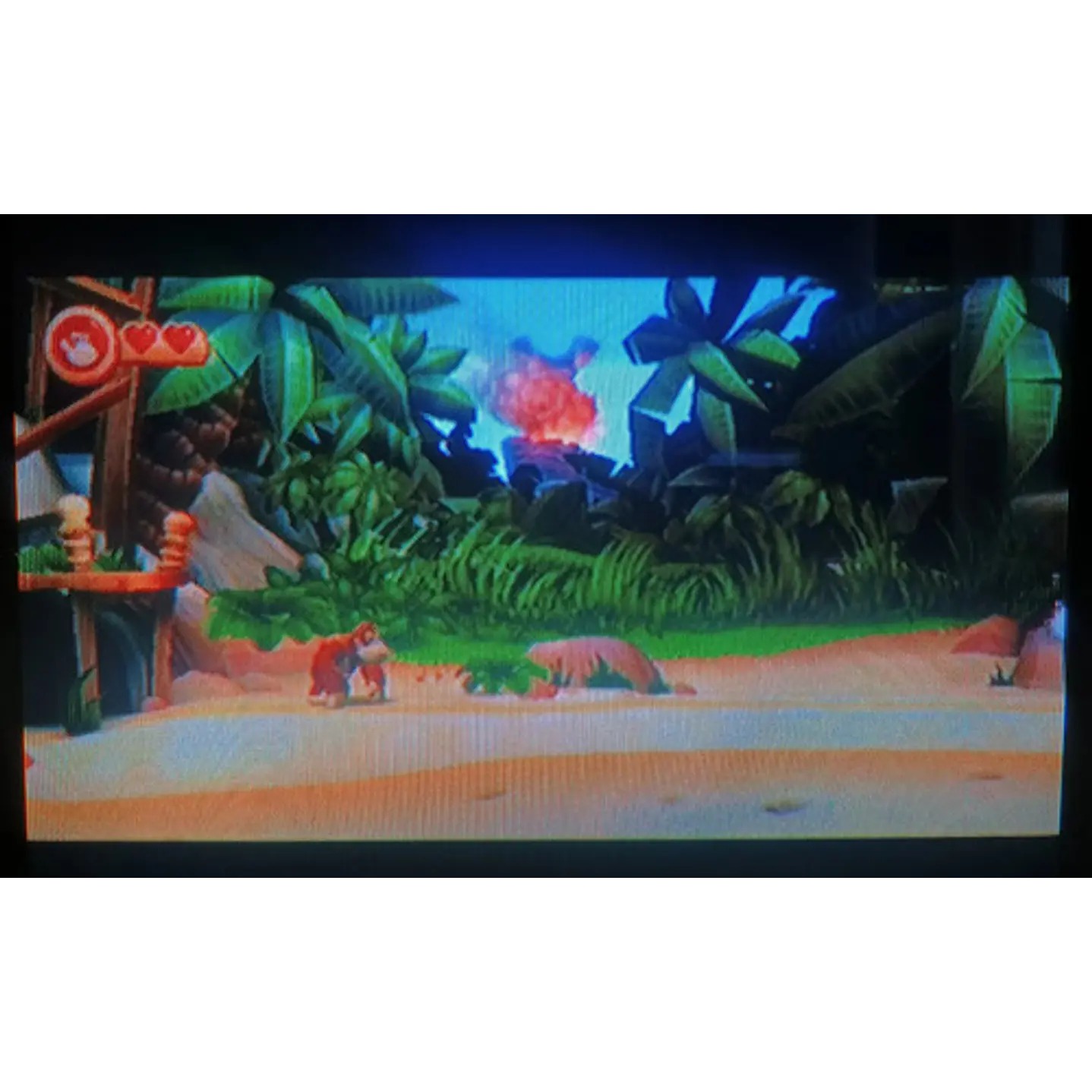 Donkey Kong Country Returns Wii 4