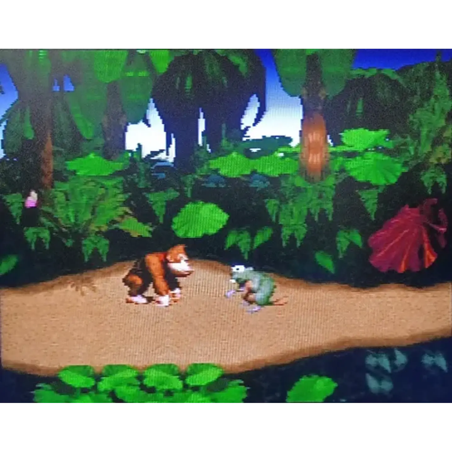 Donkey Kong Country Nintendo Snes 3