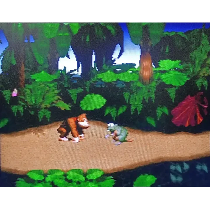 Donkey Kong Country Nintendo Snes 3