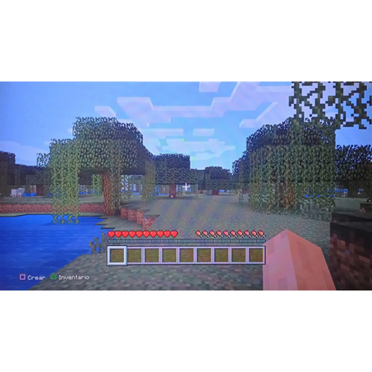 Minecraft Ps4 4