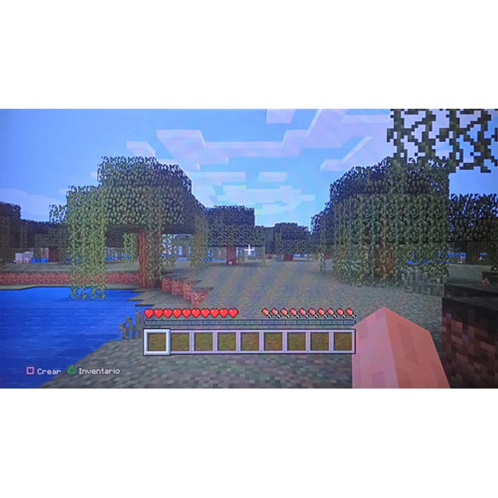 Minecraft Ps4 4