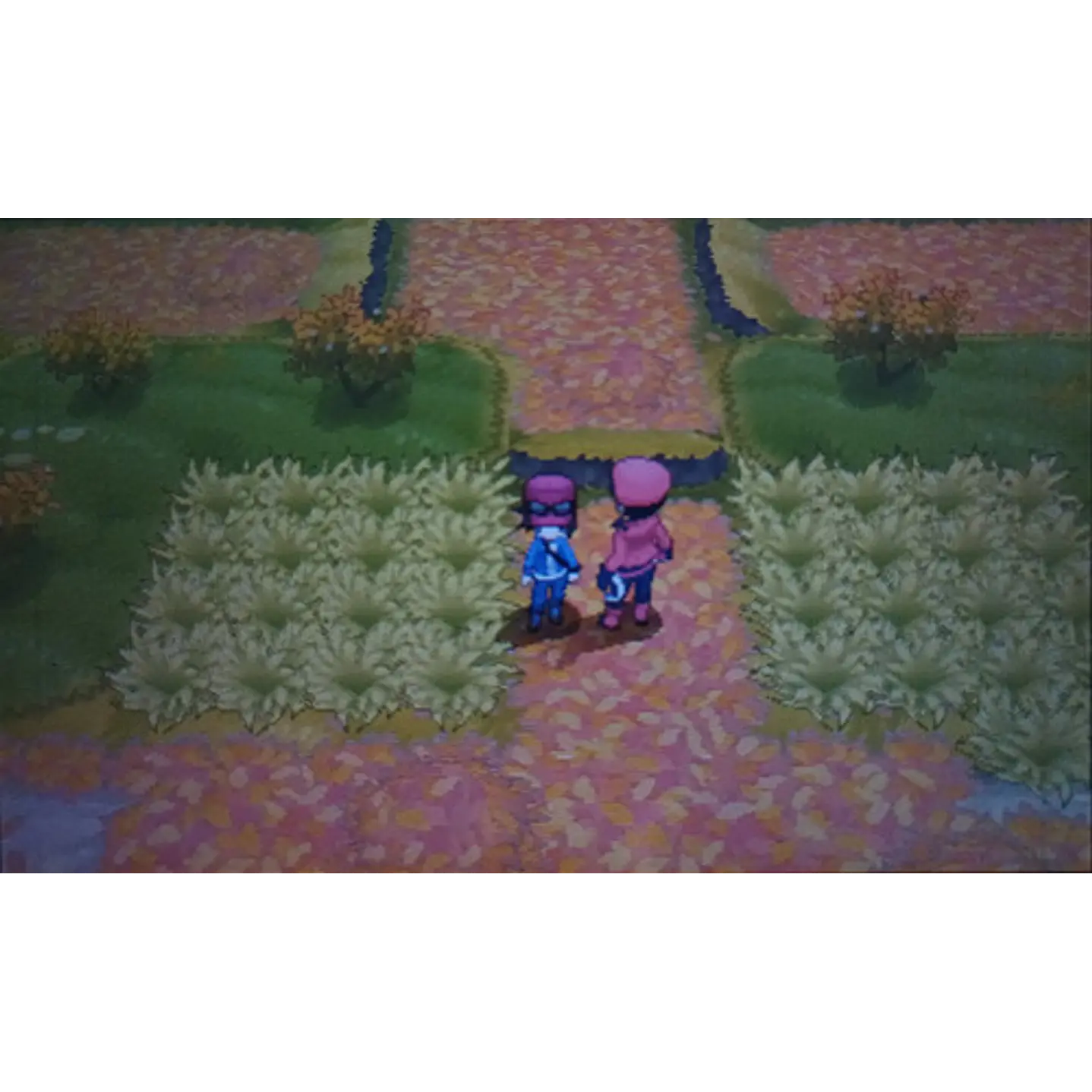 Pokemon Y Eur 3ds 2ds 5