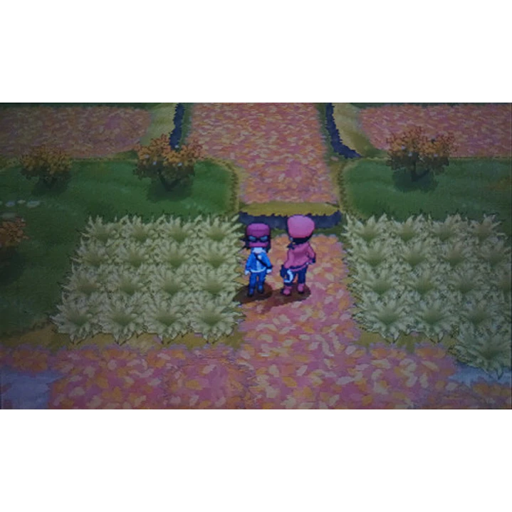 Pokemon Y Eur 3ds 2ds 5