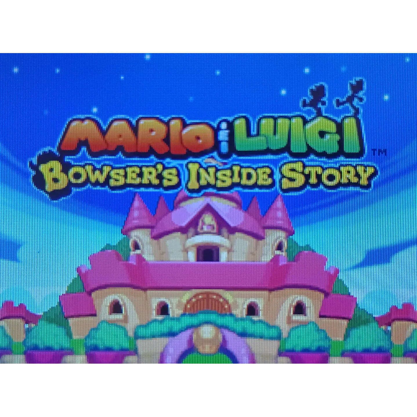 Mario Luigi Bowser Inside Story Ds 4