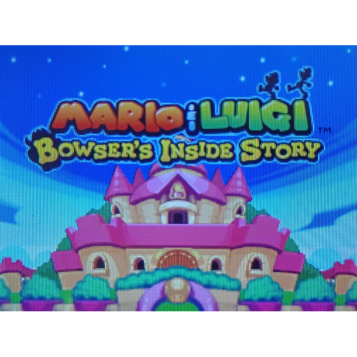 Mario Luigi Bowser Inside Story Ds 4