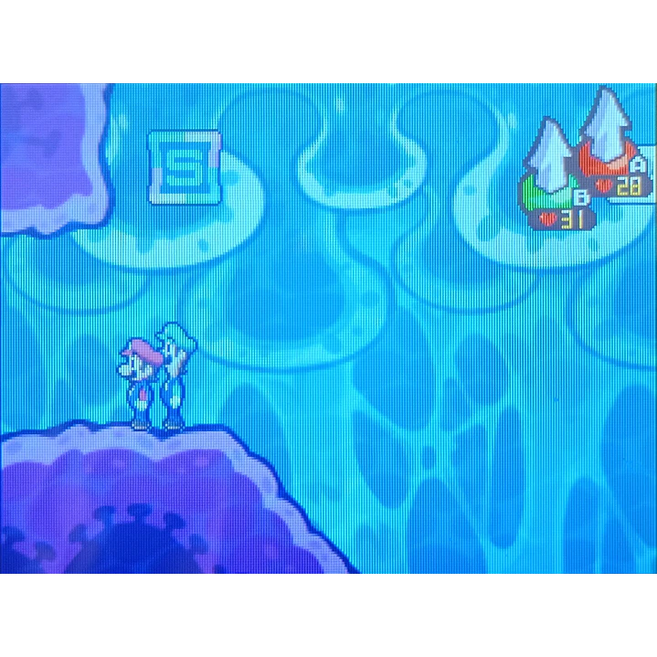 Mario Luigi Bowser Inside Story Ds 6