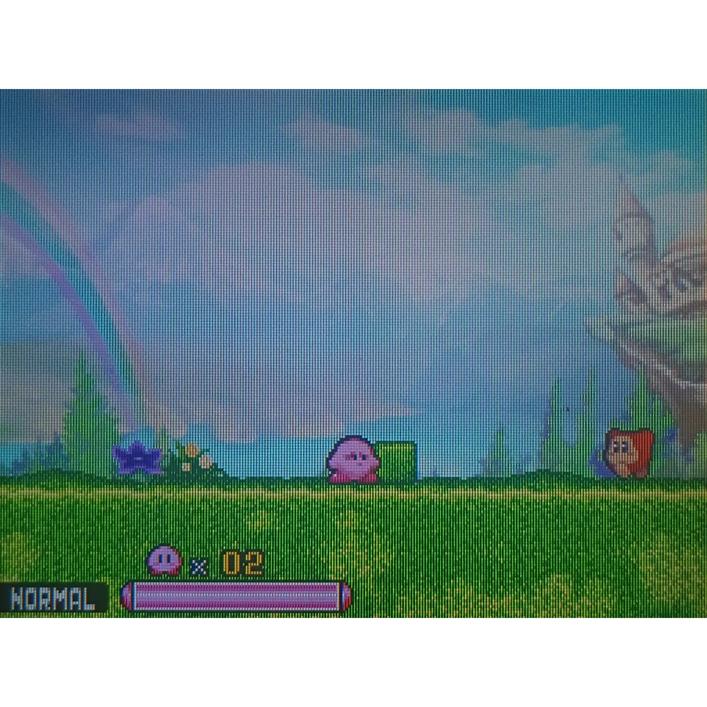 Kirby Squeak Squad Compatible Con Ds 2