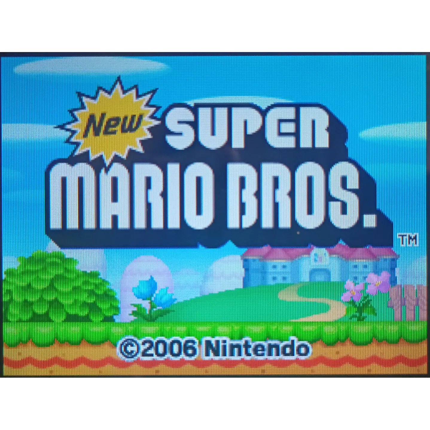 New Mario Bros Compatible Con Ds 3