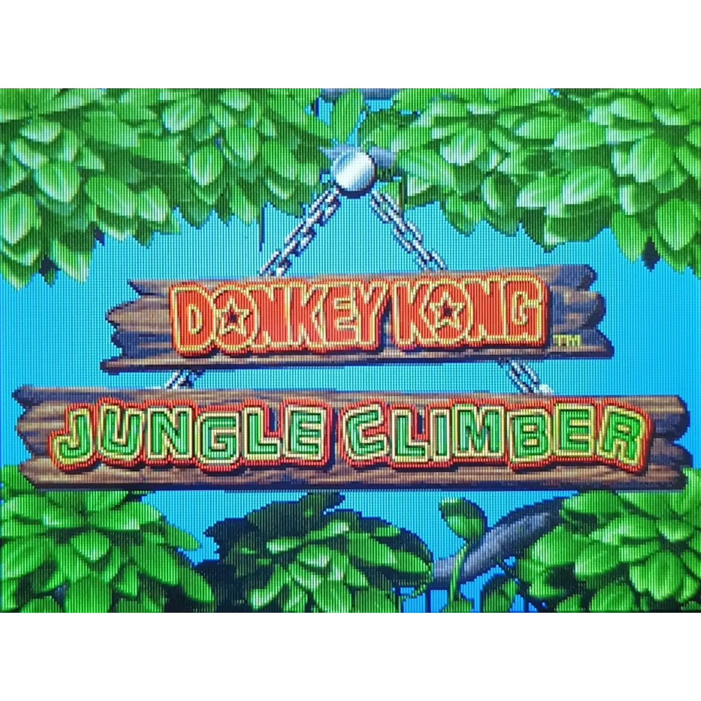 Donkey Kong Jungle Climber Para Nintendo Ds 3