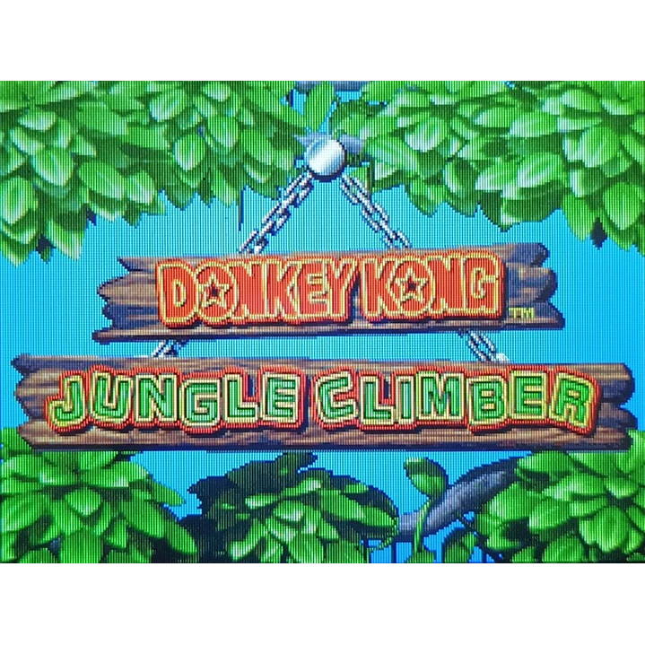 Donkey Kong Jungle Climber Para Nintendo Ds 3