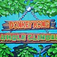 Donkey Kong Jungle Climber Para Nintendo Ds - Miniatura 3