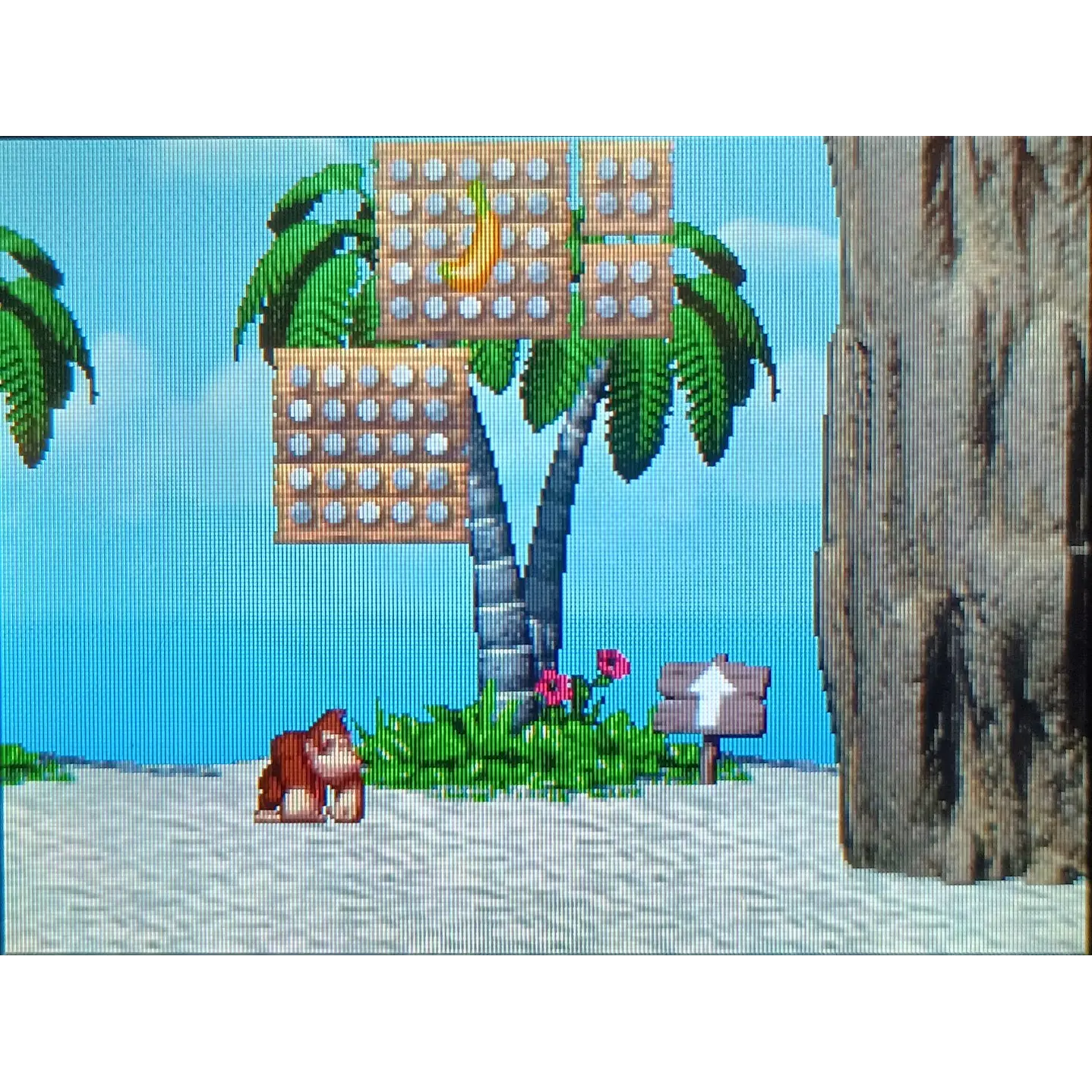 Donkey Kong Jungle Climber Para Nintendo Ds 2