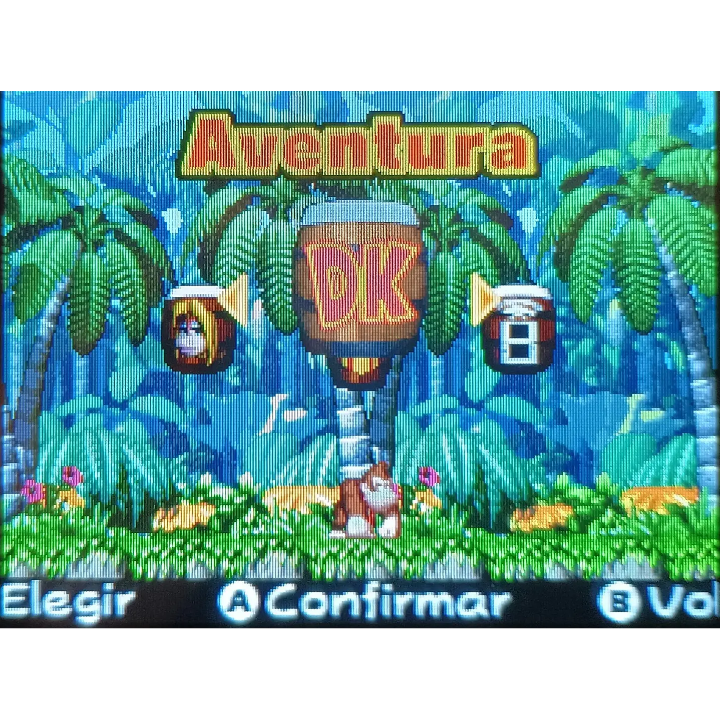 Donkey Kong Jungle Climber Para Nintendo Ds 4