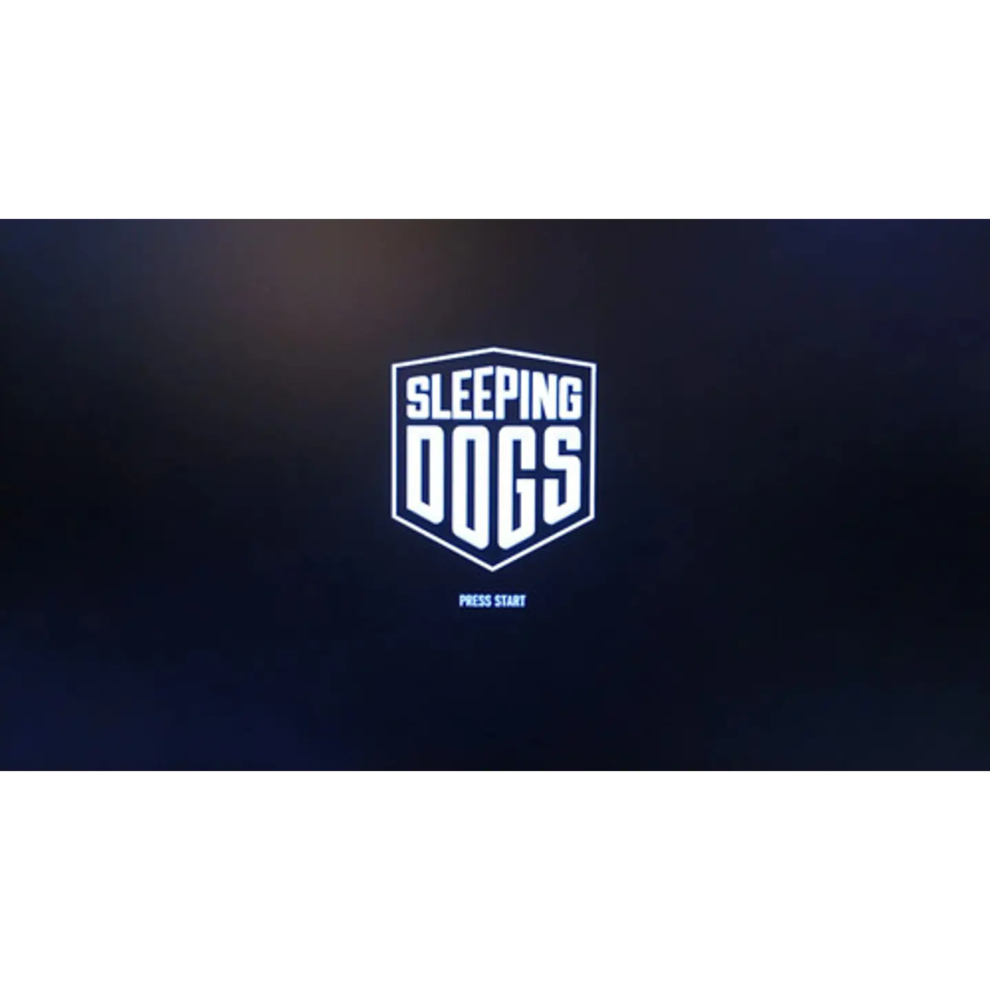 Sleeping Dogs Ps3 5