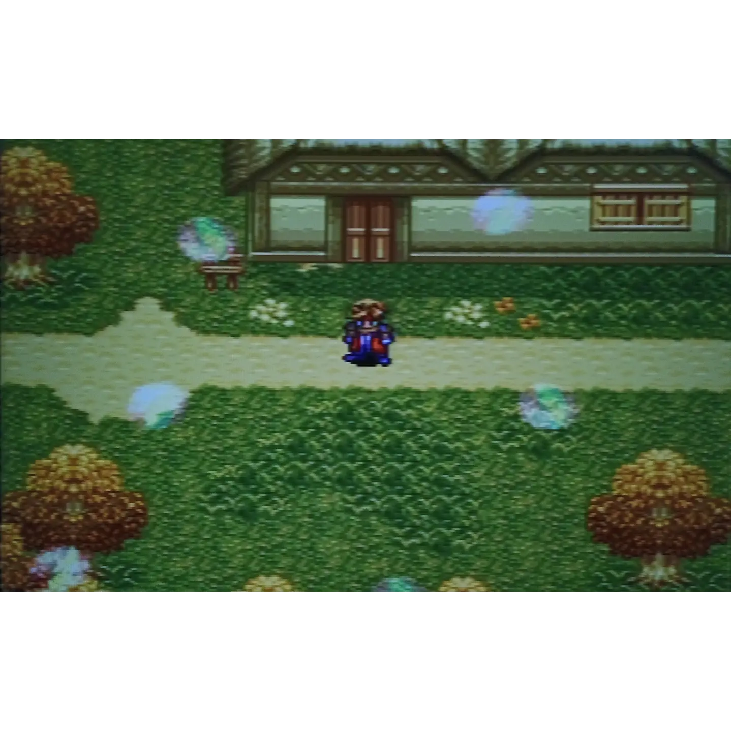 Terranigma (Español) Compatible con SNES 4