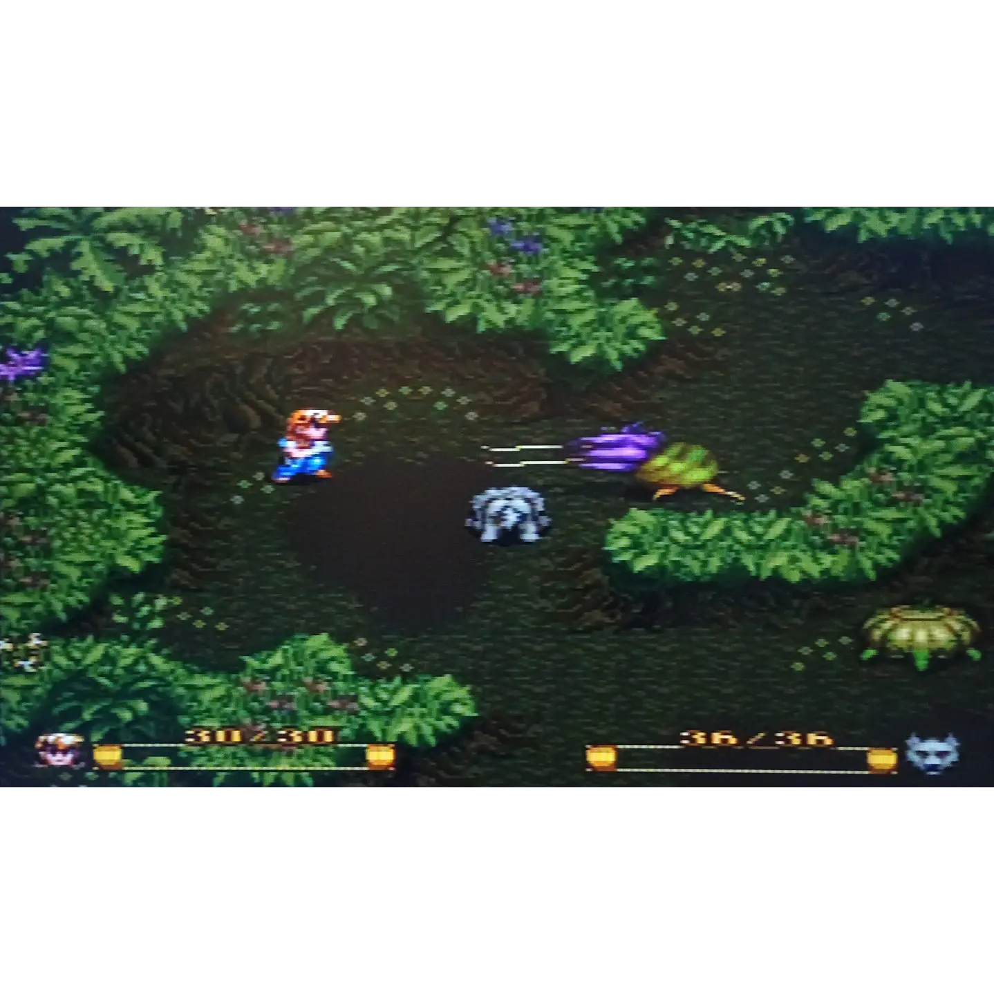 Secret of Evermore (Español) compatible con SNES 5
