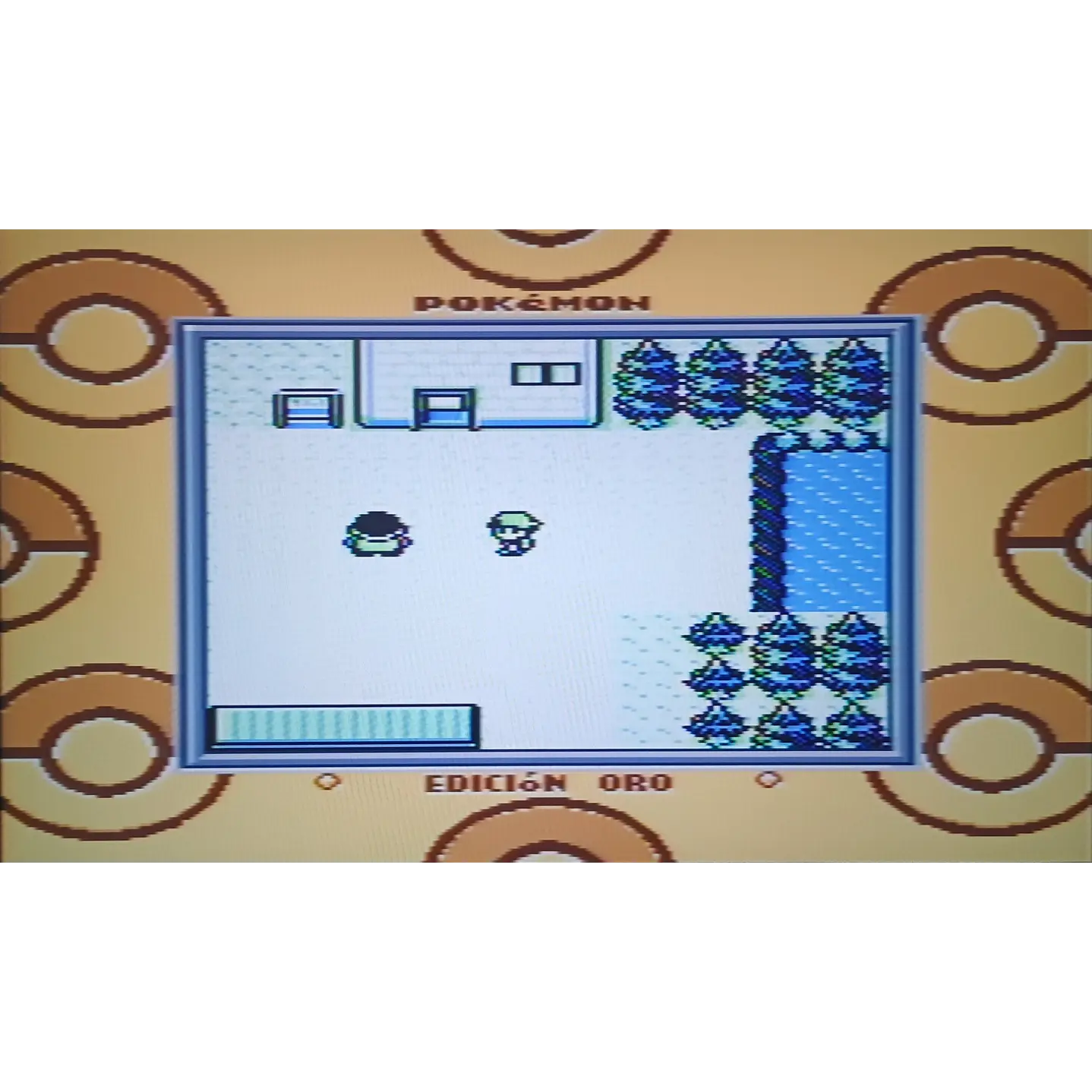Pokemon Oro Compatible con Gameboy 2