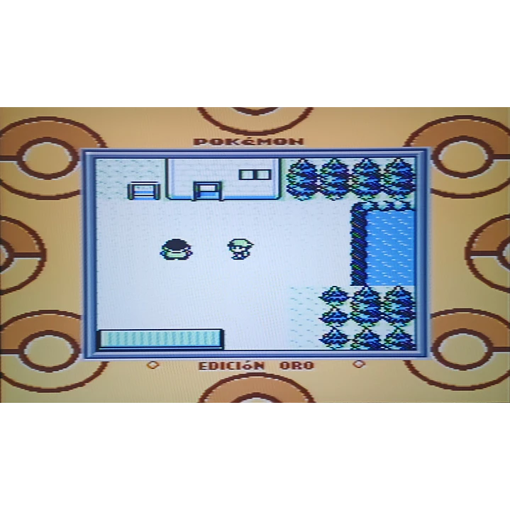 Pokemon Oro Compatible con Gameboy 2