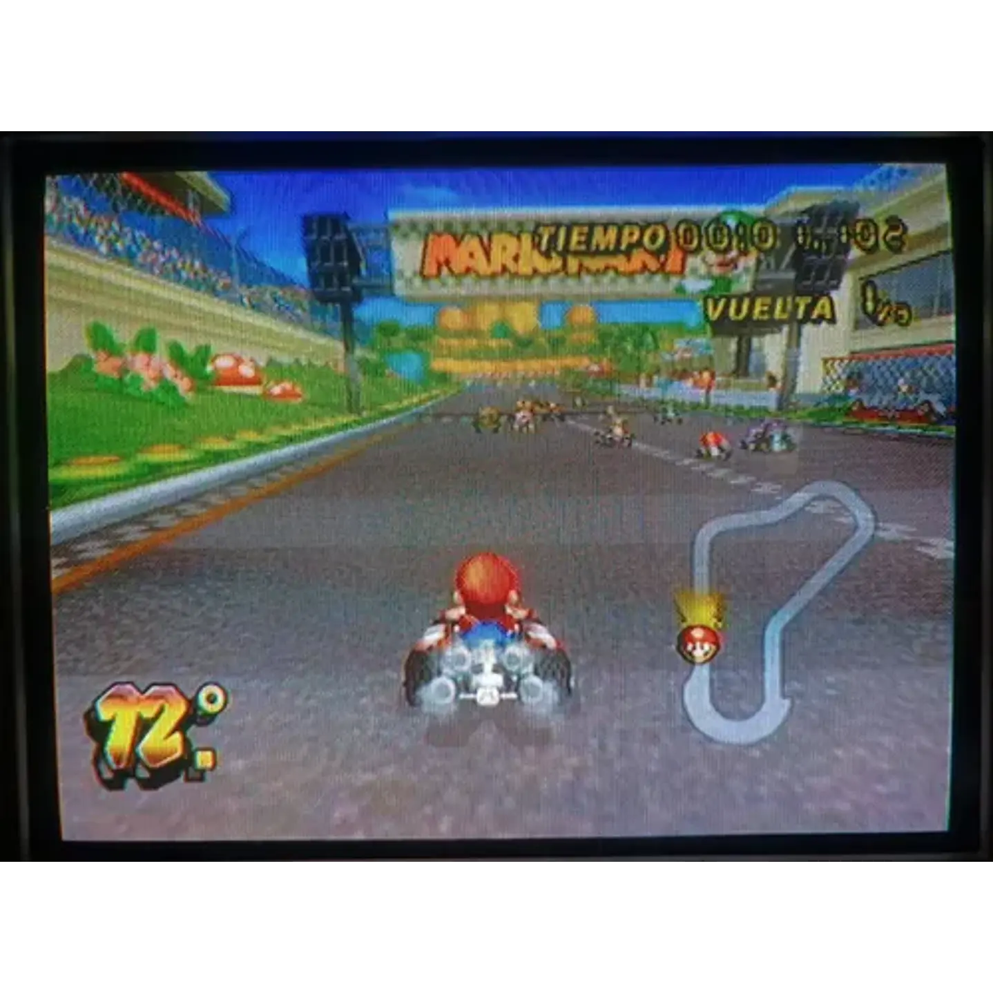 Mario Kart Wii 5