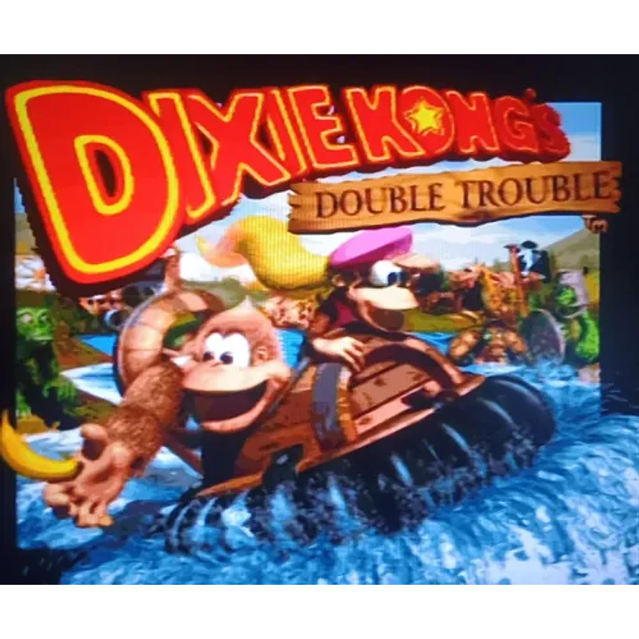 Donkey Kong Country 3 Player Choice Snes 4