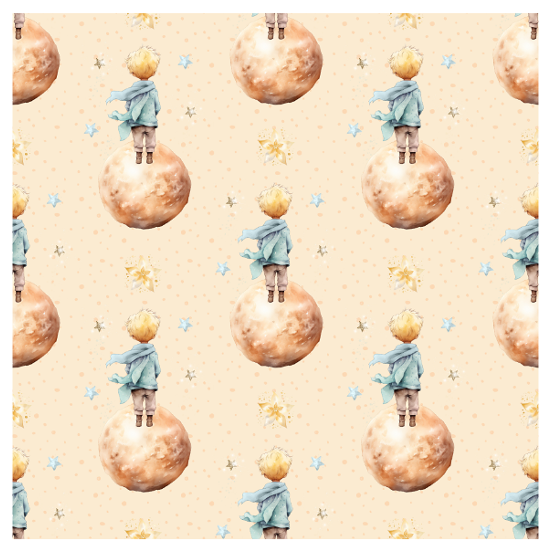 Sintetico Colecçao Principezinho 1