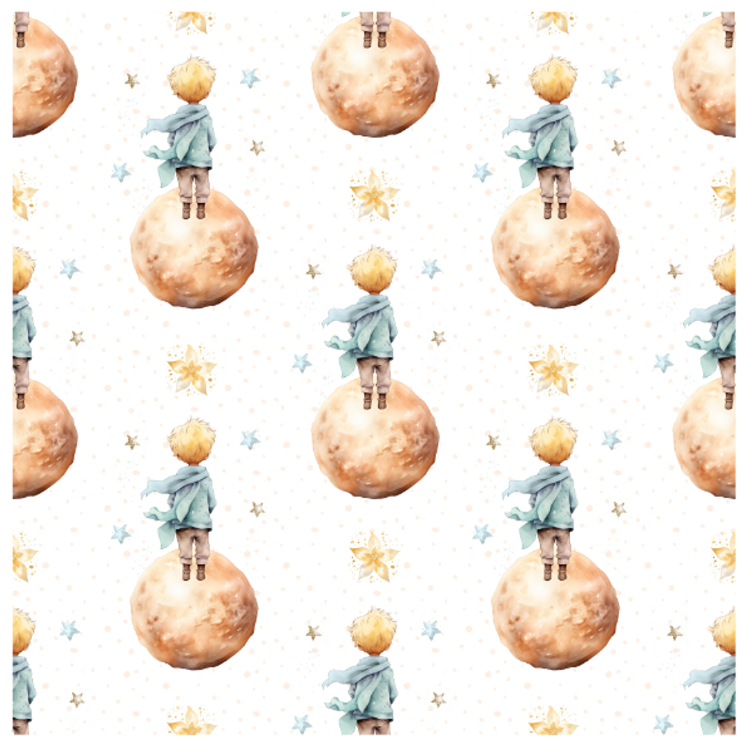 Sintetico Colecçao Principezinho 2