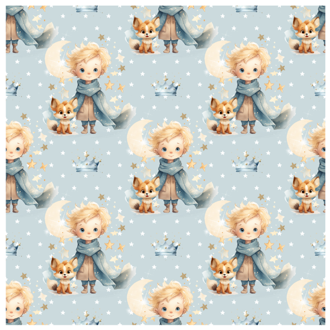 Sintetico Colecçao Principezinho 4