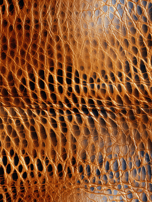 Sintetico Colecção Imitação de Pele