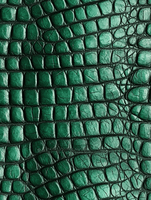 Sintetico Colecção Croco