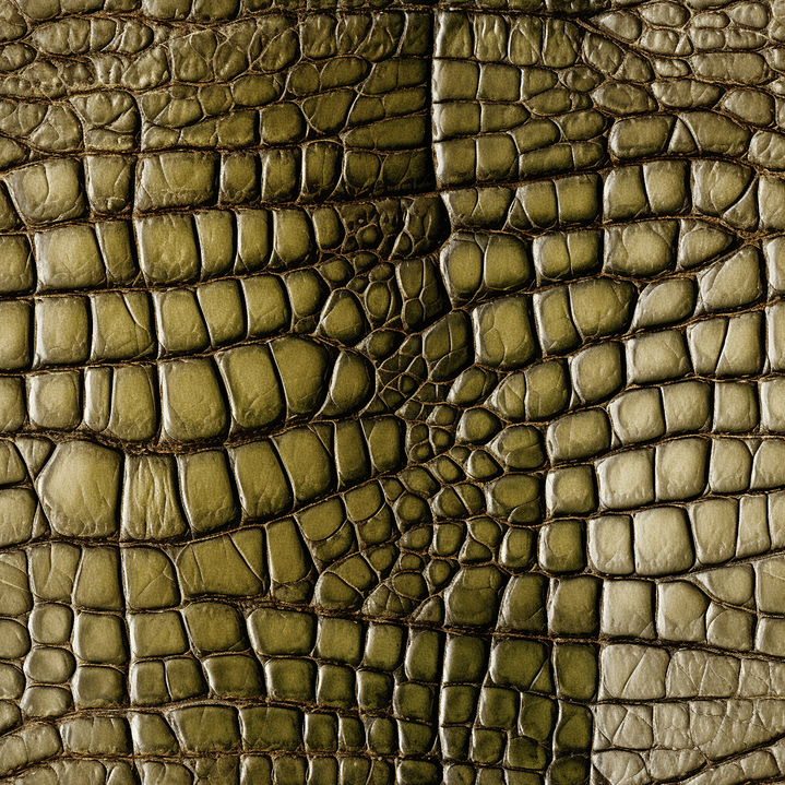 Sintetico Colecção Croco 10
