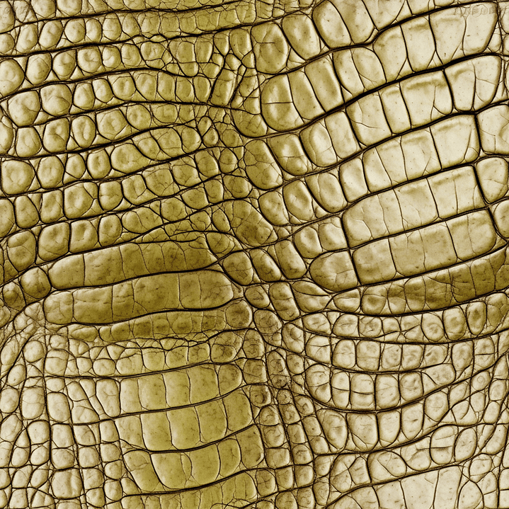 Sintetico Colecção Croco 14