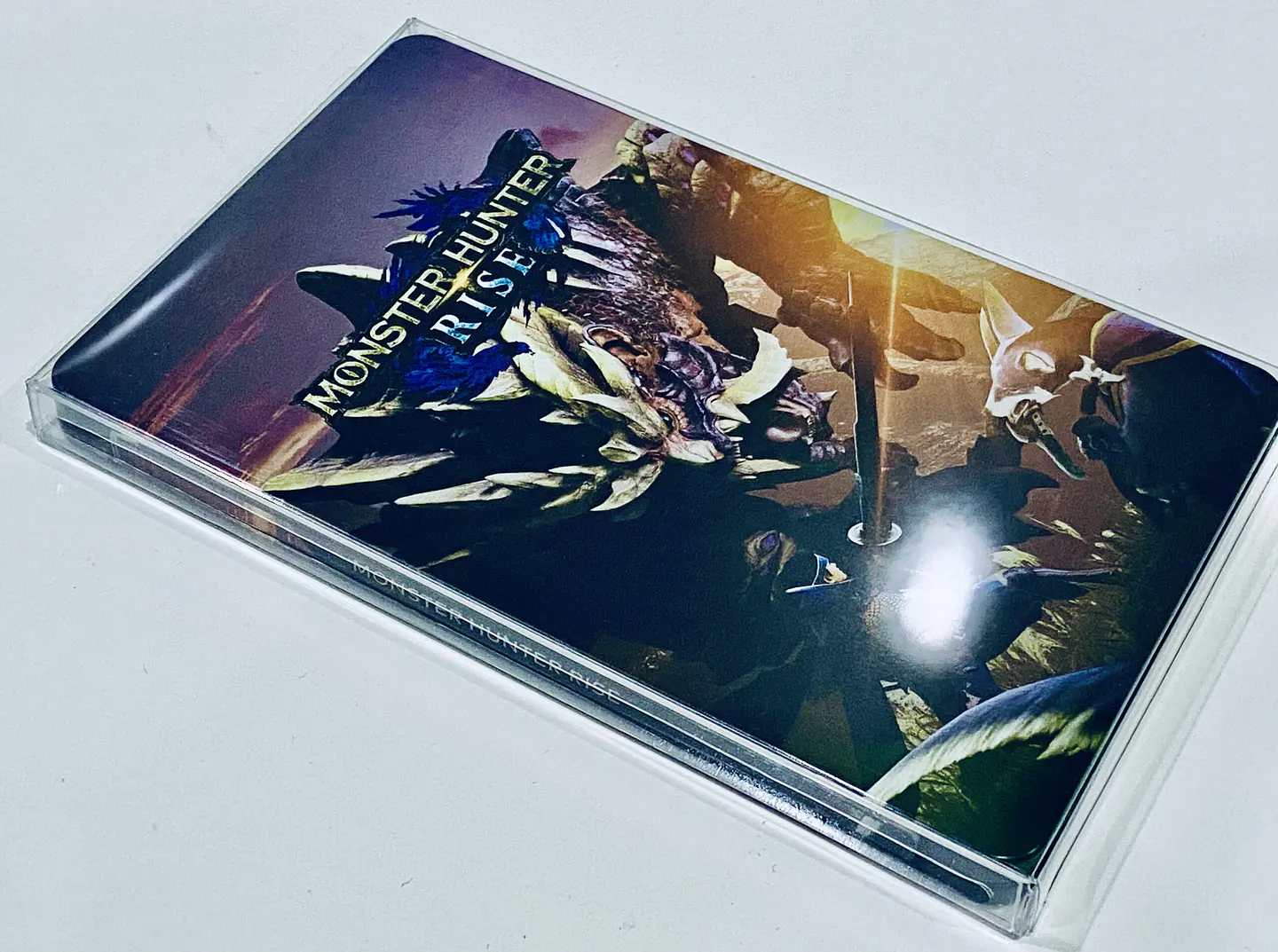 Protector PET para SteelBook Switch 1