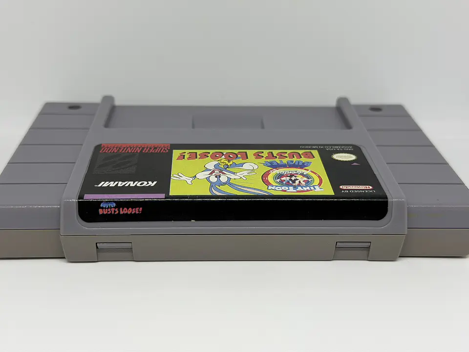 Tiny Toon Adventures: Buster Busts Loose 2