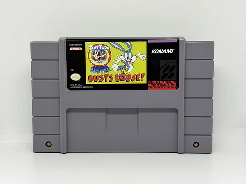 Tiny Toon Adventures: Buster Busts Loose