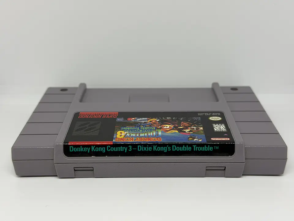 Donkey Kong Country 3: Dixie Kong's Double Trouble! 2