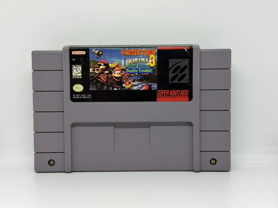 Donkey Kong Country 3: Dixie Kong's Double Trouble! 1